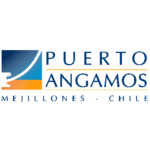 puerto-angamos-logo